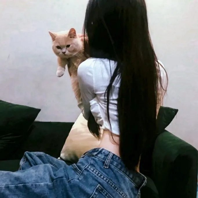 商谍