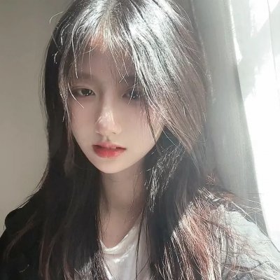 寻狗启事